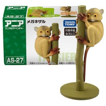 TOMICA AS-27 眼鏡猴 AN20937 多美動物園 公司貨 TAKARA TOMY