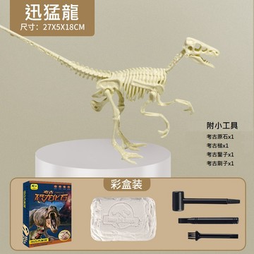 考古DIY 恐龍考古 彩盒包裝 尋寶DIY 考古 手工挖礦 手作 手作DIY 手作材料 FH0003