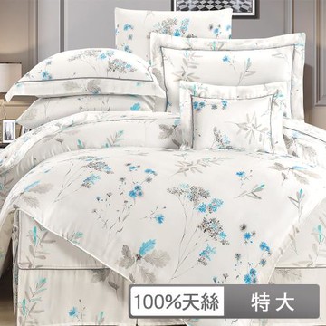 【貝兒居家生活館】100支頂級尊爵天絲四件式兩用被床包組 裸睡銀離子系列 (特大雙人/比安卡)