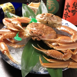  京丹後産 活間人蟹 鮮度抜群、活きたままお届け！！ 800g級（足1本落ち）×1杯