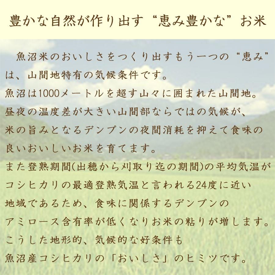 米 お米 魚沼 コシヒカリ 5kg 新潟県産 令和5年産 白米 贈答