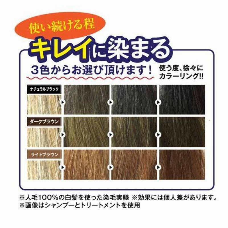 シャンプー 白髪染め 白髪染めシャンプー 2本セット 600ml 男性 女性 メンズ レディース 利尻昆布シャンプー ヘアカラー 泡タイプ ノンシリコン 通販 Lineポイント最大0 5 Get Lineショッピング