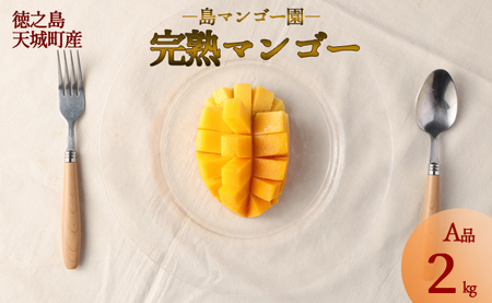 島マンゴー園の完熟マンゴー Ａ品 2kg マンゴー フルーツ