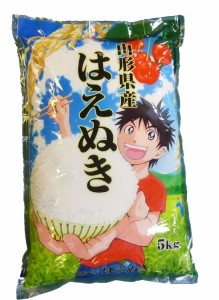 令和5年産 山形県産 はえぬき 白米5kg