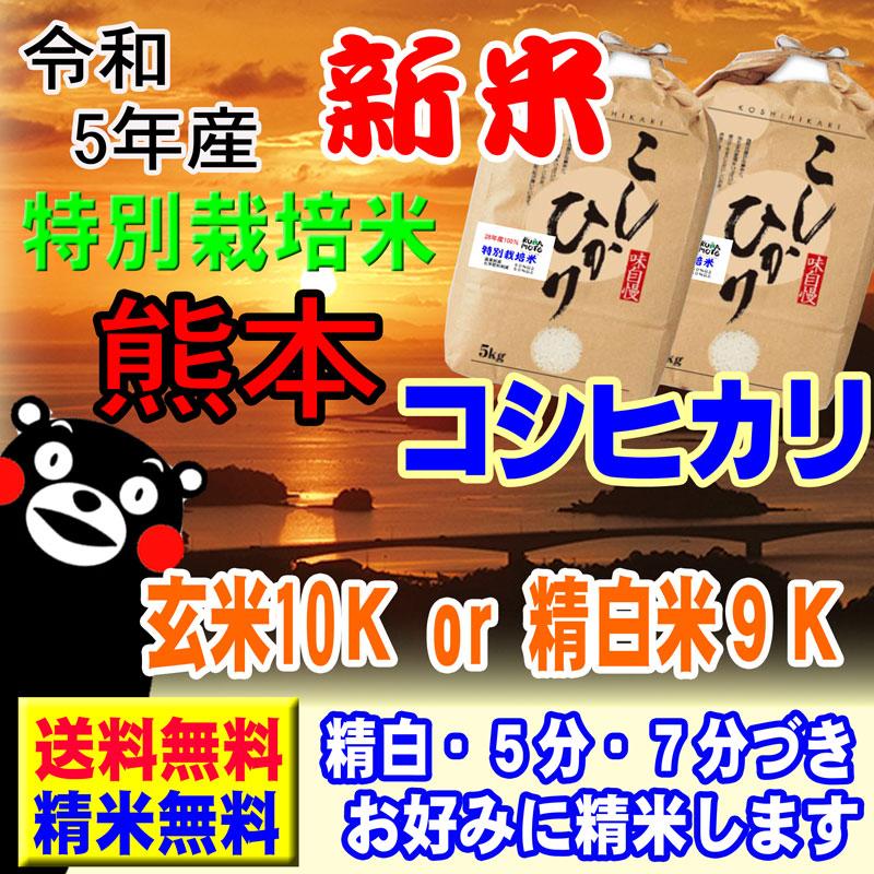 新米 令和5年産 特別栽培米 天草 コシヒカリ 10kg  (5kg×2袋) 熊本県 JAあまくさ産 玄米 白米 7分づき 5分づき 3分づき 出荷日精米