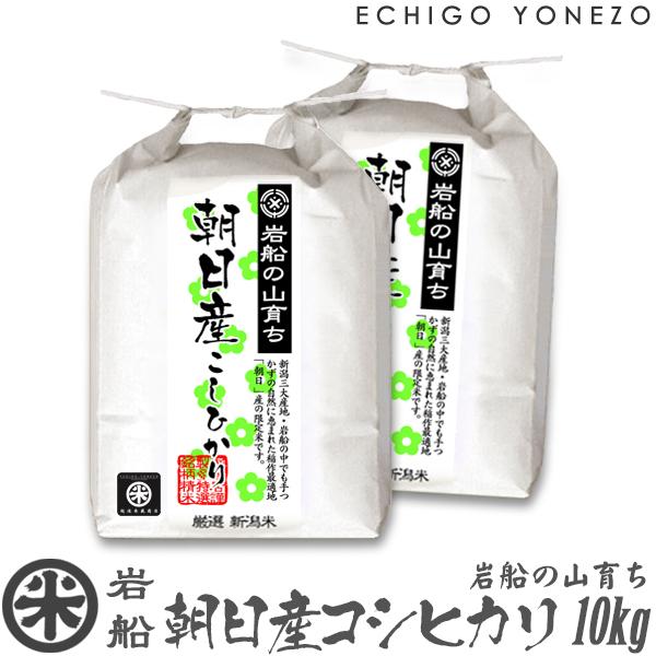 [新米 令和5年産] 岩船の山育ち 朝日産コシヒカリ 特選限定米 10kg (5kg×2袋) 新潟米 こしひかり お米 白米 送料無料 ギフト対応