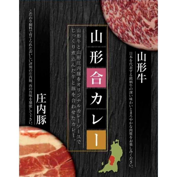 レトルトカレー お試し 3食 セット DX RG レストラン用 ビーフ カレー大阪 ベル食品工業 簡単調理 長期保存 ポイント消化 山形合カレー