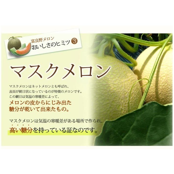 2024年ご予約販売 メロン 富良野メロン 北海道産 赤肉 秀品 Lサイズ 1.2kg前後 3玉 送料無料