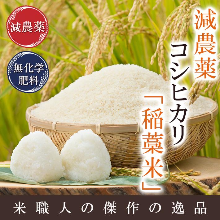 米 2kg コシヒカリ 「稲藁米」特別栽培米 減農薬（農薬使用量5割以上削減）令和5年福井県産 送料無料