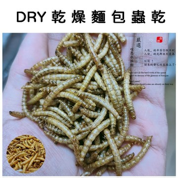 麵包蟲乾 蟲乾 烏龜飼料 水龜飼料 倉鼠飼料 蛋白攝取 老鼠飼料 鳥類飼料 乾燥麵包蟲
