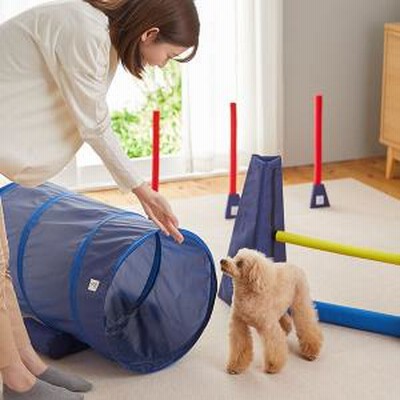 Peppy ペピイ Sippoleアジリティ トンネル 犬用おもちゃ 通販 Lineポイント最大get Lineショッピング
