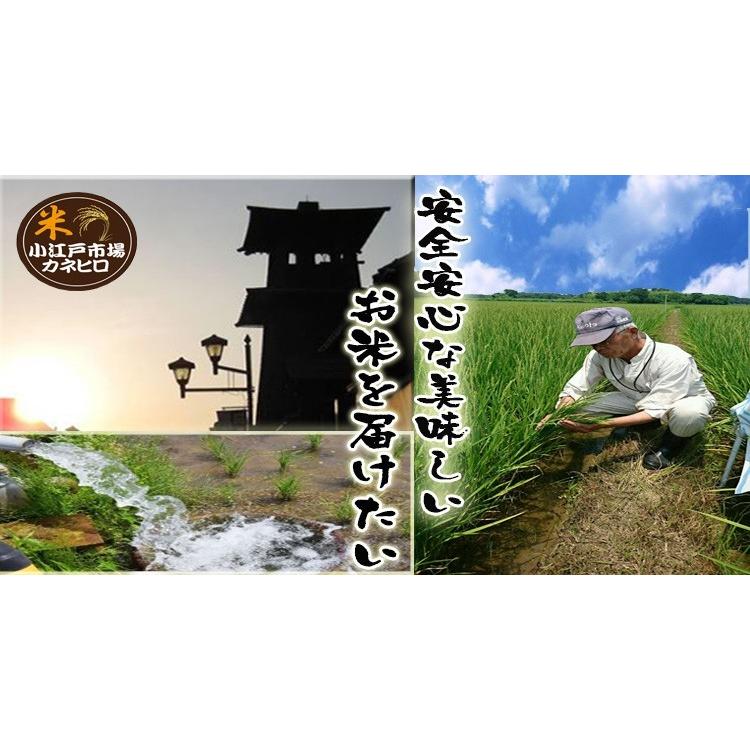 5年産 埼玉でとれたお米25kg 送料無料 白米 （小分け無料)