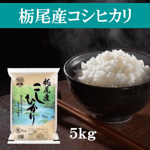 送料無料 令和５年産 新潟県栃尾産コシヒカリ 5kg おこめ 精米 新潟