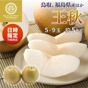  王秋 梨 おうしゅう  約5kg 5-9玉 鳥取 福島産ほか 王梨 和梨 初 糖度約12度 和梨 販売 取寄