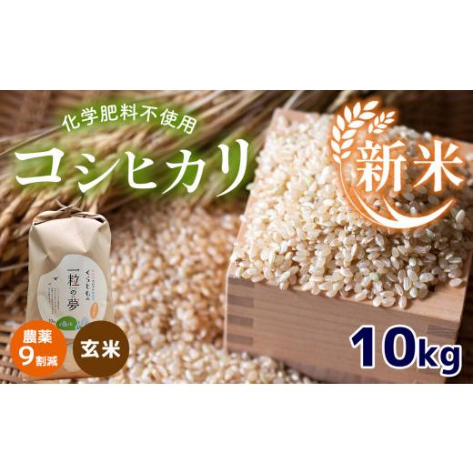 ふるさと納税 山口県 美祢市 農薬9割減・化学肥料不使用 コシヒカリ(玄米) 10kg