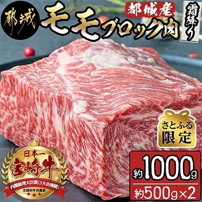 ふるさと納税 都城市 都城産宮崎牛モモブロック肉(霜降り)約1,000g