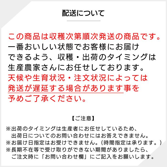 南アルプス 乾燥きくらげ (スライス) 1袋 10g入り 単品 山梨県産 宮入バルブ製作所