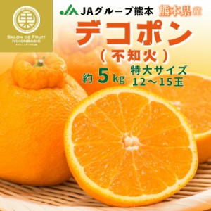 [予約 2024年1月1日必着] デコポン 約 5kg 12-15玉 特大 熊本県産 高品位 お正月必着指定 お年賀 御年賀 冬ギフト