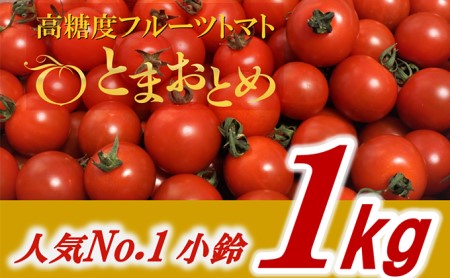 栃木県 鹿沼産 高糖度フルーツトマト  ”とまおとめ”  人気No.1品種   1kg野菜 トマト お届け：2023年12月下旬～2024年6月上旬