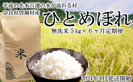 新米 定期便 令和5年産 ひとめぼれ 無洗米 5kg6ヶ月定期便 無洗米