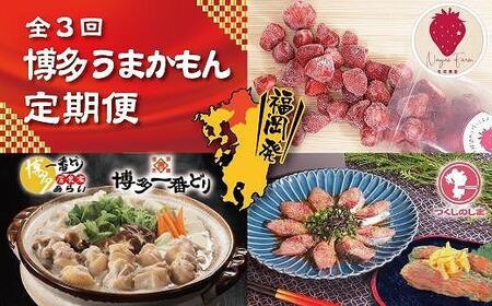 博多うまかもん３回定期便 あまおう1.5kg・水炊き2～3人前・ごま鯖2パック・明太子180g