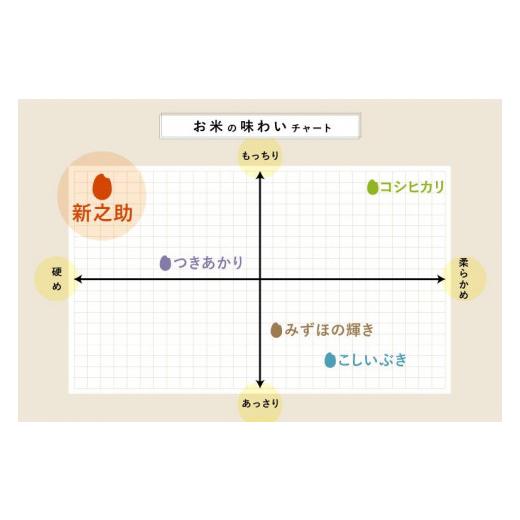 ふるさと納税 新潟県 令和5年産新米玄米各2kg 南魚沼産コシヒカリ・佐渡産コシヒカリ・新潟産新之助