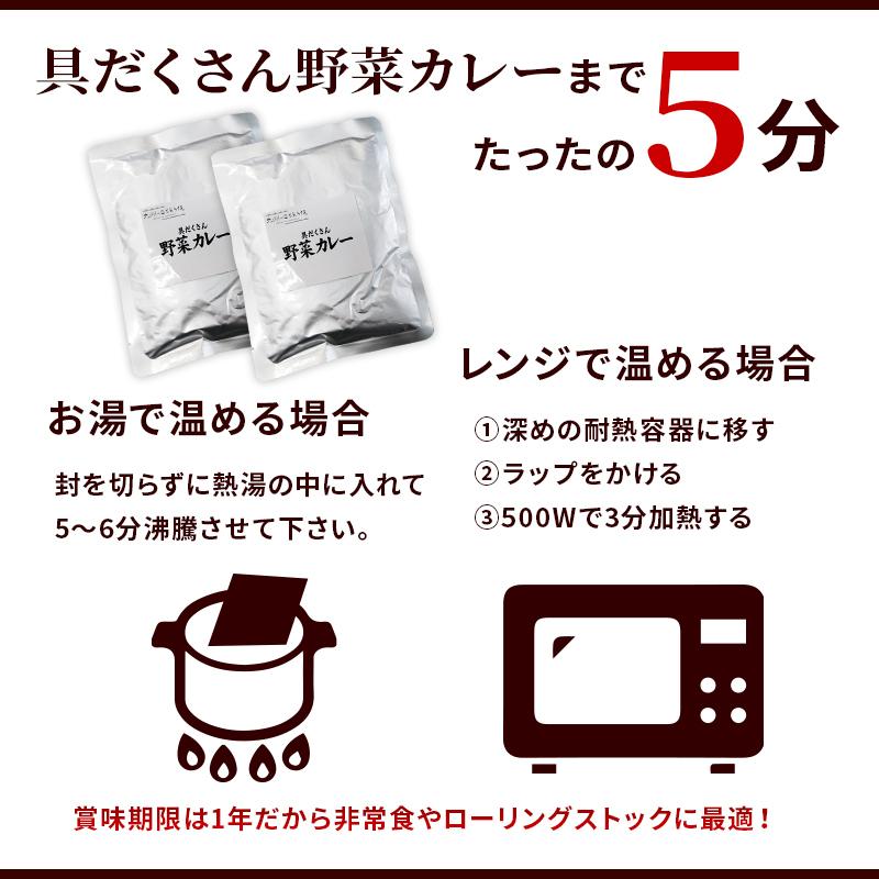 カレー レトルト 野菜たっぷり カレー 中辛 国産 送料無料 博多 長期常温保存 具だくさん野菜カレー 200g×10パック メール便