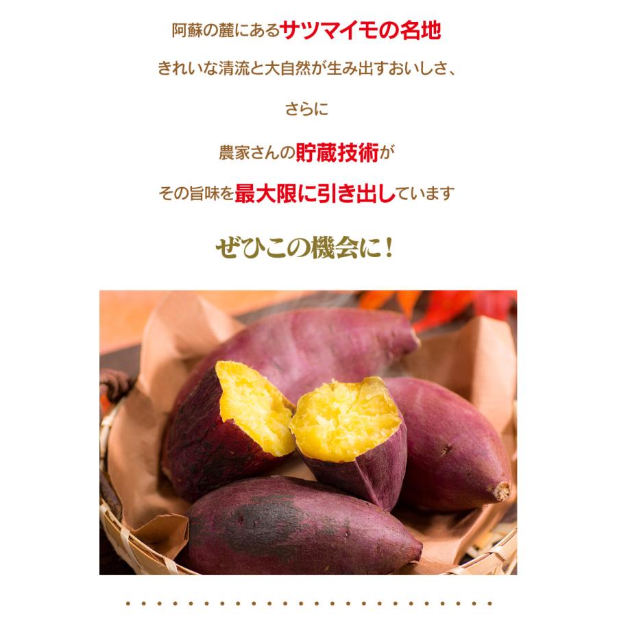 さつまいも シルクスイート 5kg（15本前後）送料無料 熊本産 生芋 さつま芋 唐芋 からいも ＜予約2023年12月上旬より出荷予定＞