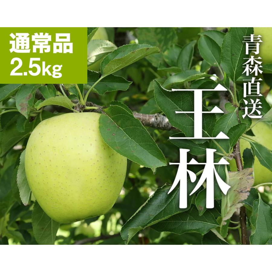 RED APPLE 青森直送 12月上旬より出荷以降発送予定 王林 約2.5kg りんご 果物 旬 フルーツ ギフト