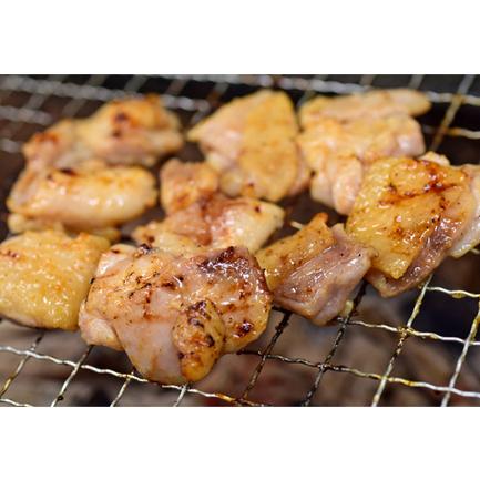 ふるさと納税 塩麹につけたよさこい尾鶏と力豚のBBQセット 高知県大月町