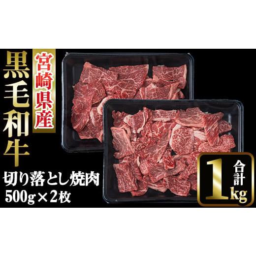 ふるさと納税 宮崎県 日之影町 宮崎県産 黒毛和牛 切落し 焼肉(計1kg・500g×2)