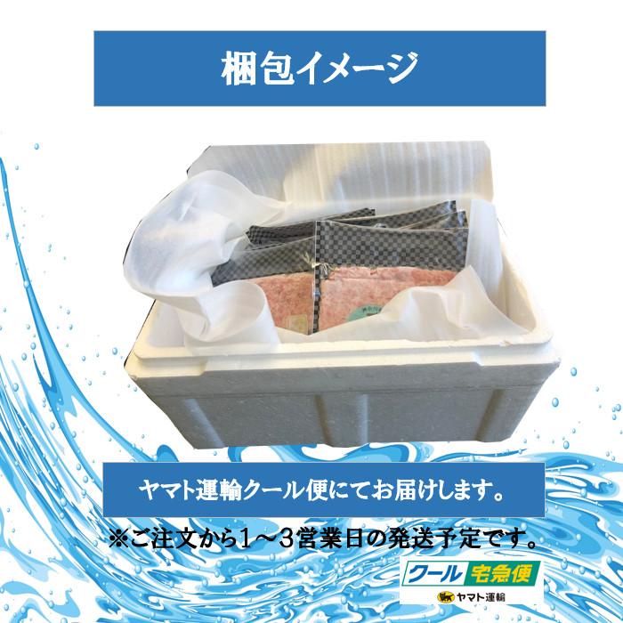 三崎港 まぐろたたき １ｋｇ （１００ｇ × 10パック） 送料無料（沖縄・離島を除く） 鮪 マグロ まぐろ ねぎとろ ネギトロ たたき 天然 三崎