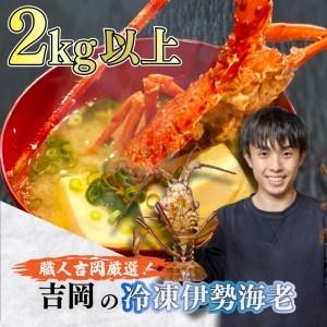 ふるさと納税 伊勢海老 2kg 以上 冷凍 鍋 刺身 高級 伊勢エビ イセエビ 高知県 須崎市 伊勢海老 刺身伊勢 海老蒸し 伊勢海老 海鮮丼 伊勢えび お.. 高知県須崎市