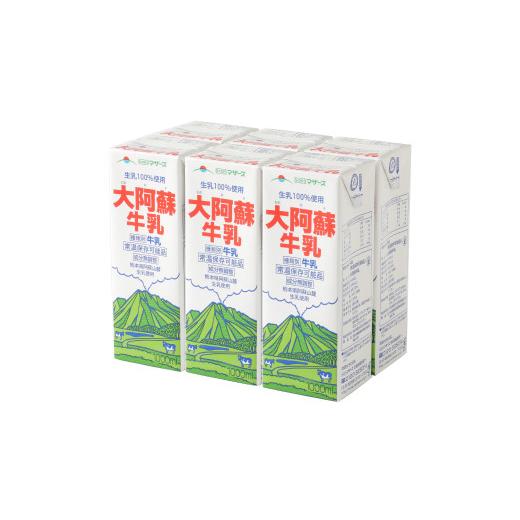 ふるさと納税 熊本県 益城町 大阿蘇 牛乳 1L 紙パック 6本入 合計6L 成分無調整牛乳 乳飲料