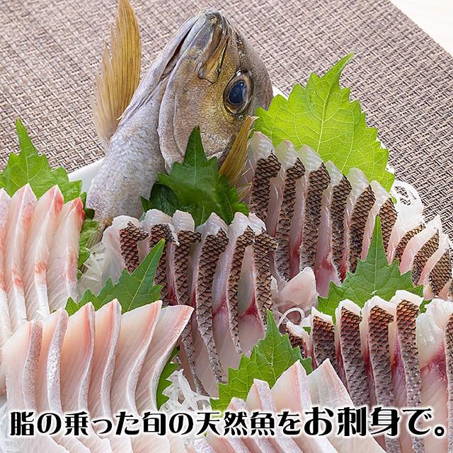 五島列島天然魚の刺身 海の宝セット5人前