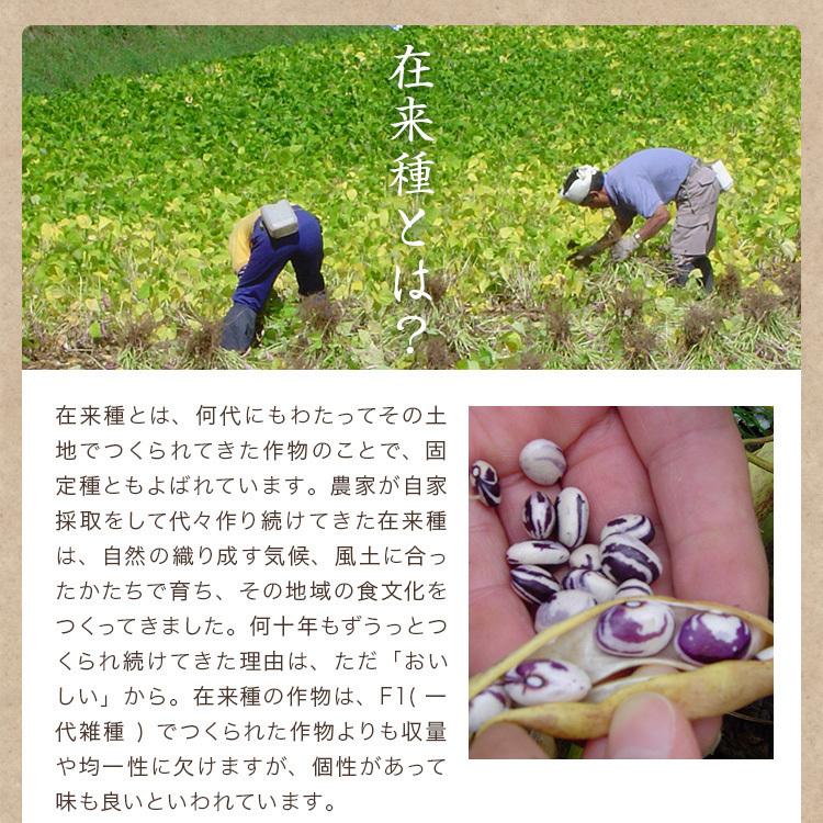 300g 無農薬 手亡豆 北海道産 令和3年産 農薬・化学肥料不使用 白いんげん 小粒