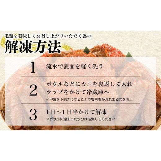 ふるさと納税 北海道 登別市 北海道登別産 旬の毛蟹500g前後×1杯