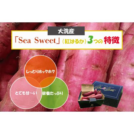 ふるさと納税 大洗産 さつまいも 紅はるか 2.5kg （8本前後） 「Sea Sweet」 長期熟成 茨城県産 サツマイモ 土付き 生芋 芋 さつま芋 薩摩芋 甘.. 茨城県大洗町