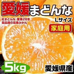 愛媛まどんな (紅まどんな同品種) Lサイズ 5kg JAの正規品(あいか  愛果28号) ご家庭用 バラ詰 高糖度・JA選果【愛媛県産…