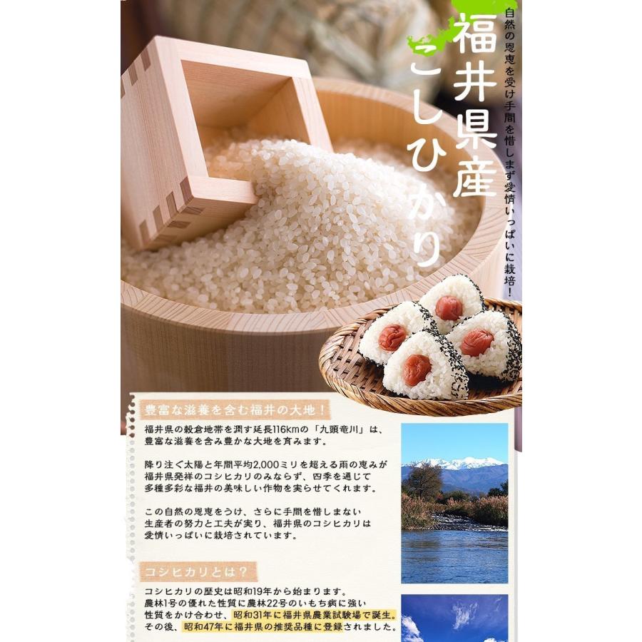 新米 米 玄米 20kg 5kg×4袋 コシヒカリ 福井県産 令和5年産 送料無料