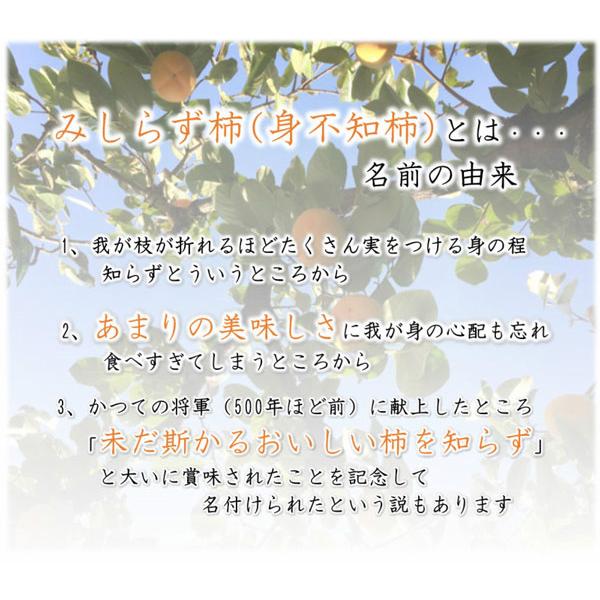 柿 かき 会津 みしらず あんぽ 柿 みしらず柿使用 12個〜16個入り カキ ギフト 贈答用 お祝い お礼 ギフト 和菓子 贈答用 手土産 贈物 送料無料 予約品