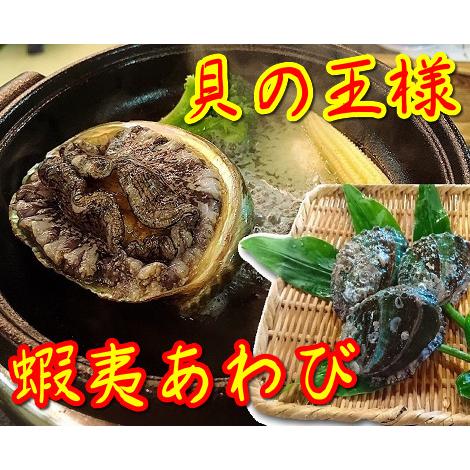 蝦夷あわび 1個 約90g