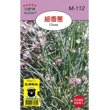 花田綠地種子-細香蔥
