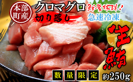 　本部町産　本マグロ切り落し　約250g