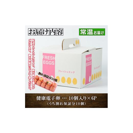 ふるさと納税 鹿児島県 いちき串木野市 SA-141 健康電子卵（鶏卵）6パック 60個入り