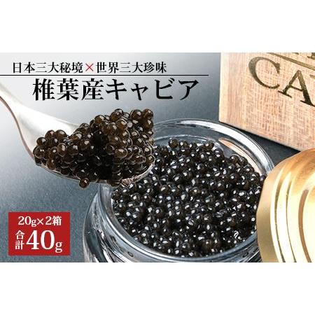 ふるさと納税 HEIKE CAVIAR 40ｇ チョウザメ キャビア  宮崎県椎葉村