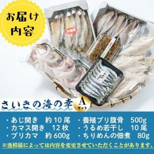 ふるさと納税 さいきの海の幸Aセット (6種) 鯵 カマス ブリカマ うるめいわし ちりめん 魚 干物 海産物 加工食品 セット 詰め合わせ 大分県 佐伯.. 大分県佐伯市