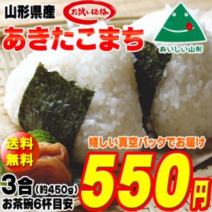 新米 米 お米 ポイント消化 あきたこまち 450g (3合) 玄米 令和5年度産 山形県産 送料無料 メール便 ゆうパケ