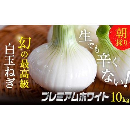 ふるさと納税 浜松篠原産新白玉ねぎプレミアムホワイト10キロ 静岡県浜松市