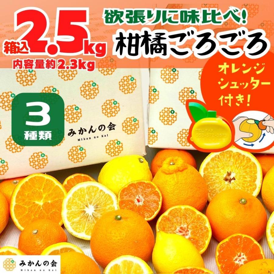 柑橘ごろごろ 3種 箱込 2.5kg(内容量 2.3kg) 秀品 優品 混合 和歌山県産 産地直送 